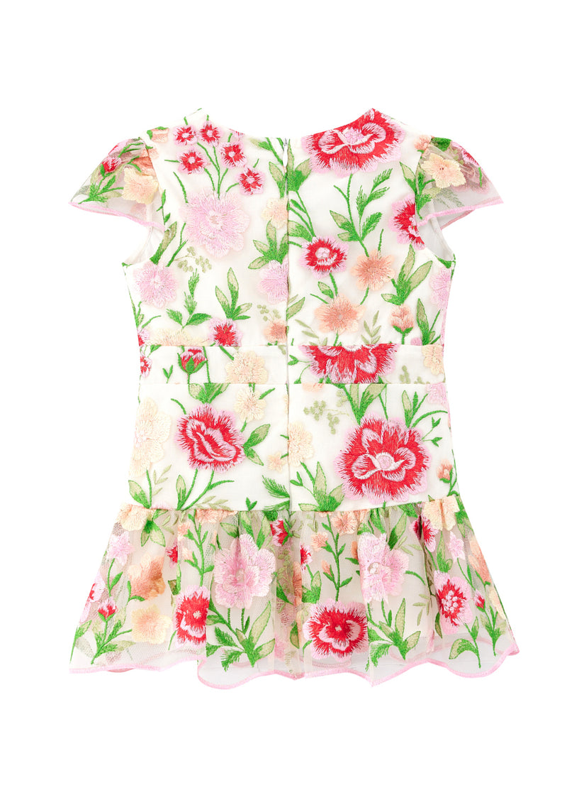 Poppy Embroidered Dress (Baby)