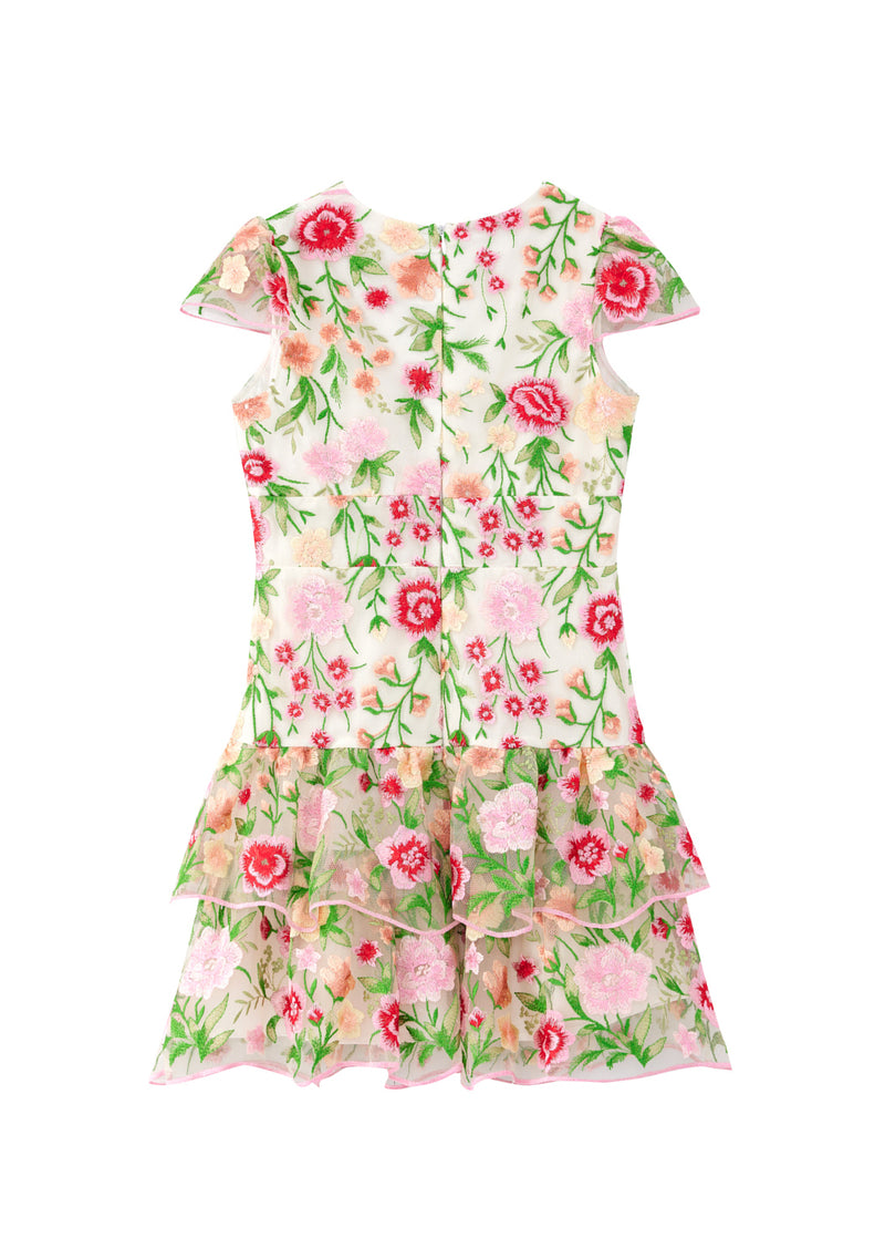 Poppy Embroidered Dress