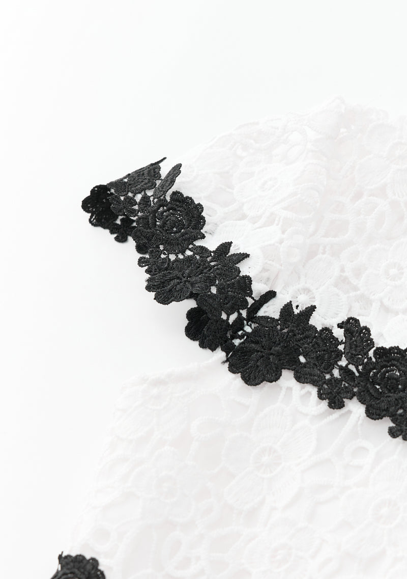 Aveline Embroidered Mini Dress