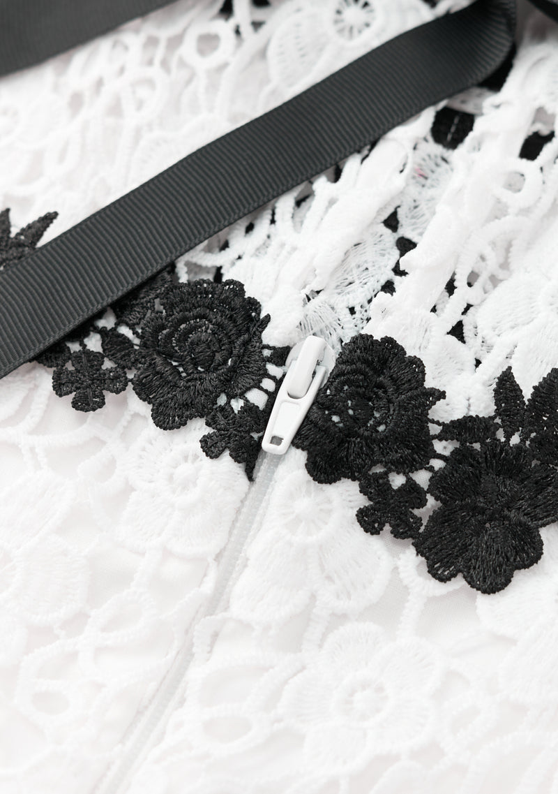 Aveline Embroidered Mini Dress