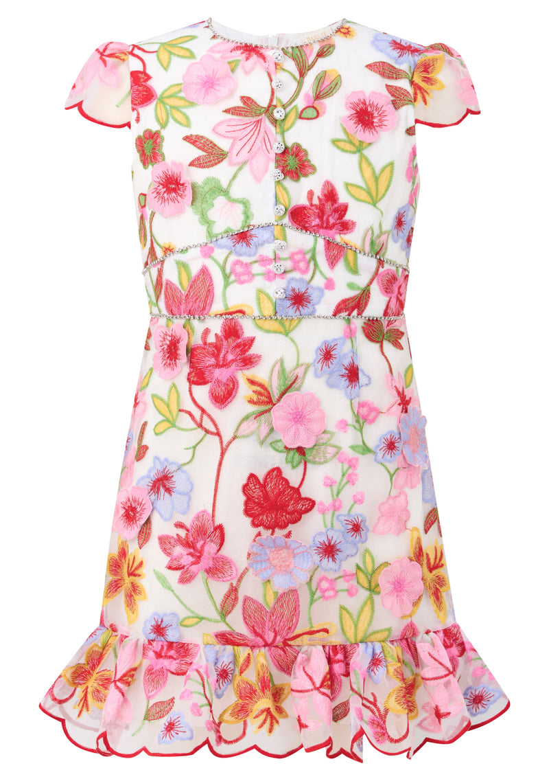 Arabella Embroidered Mini Dress