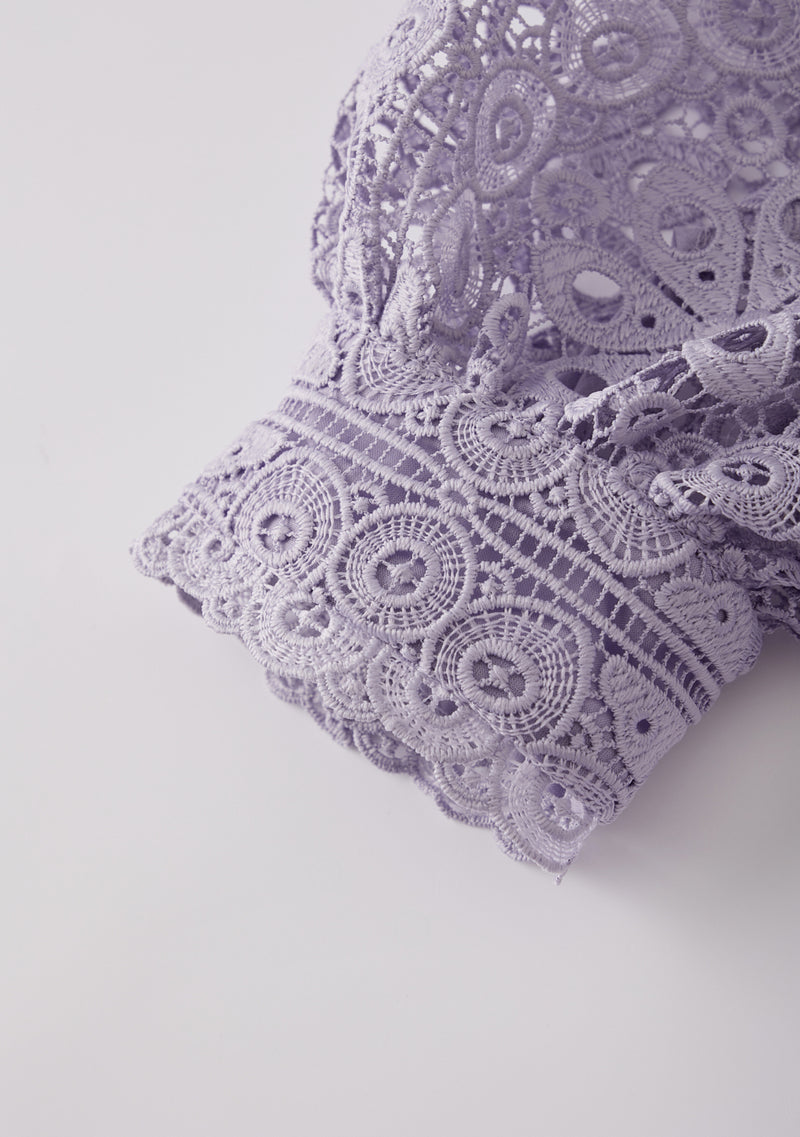 plum lace aurora dress Aurora Dress Color Changing Adult Aurora Change Color Costume