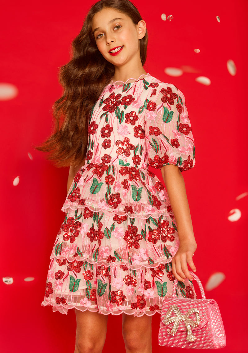 Shyla Embroidered Mini Dress