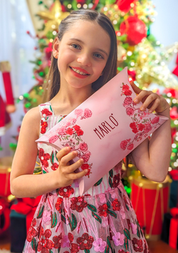 Holiday 22 Pillow Gift Box