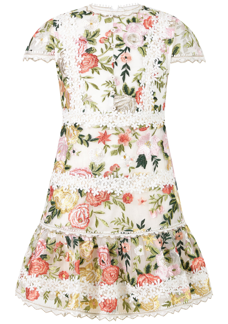 Allure Embroidered Mini Dress
