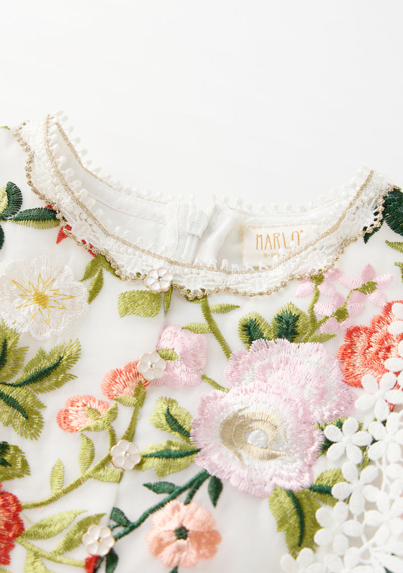 Allure Embroidered Sleeve Mini Dress