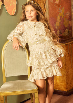 Dorothy Embroidered Mini Dress