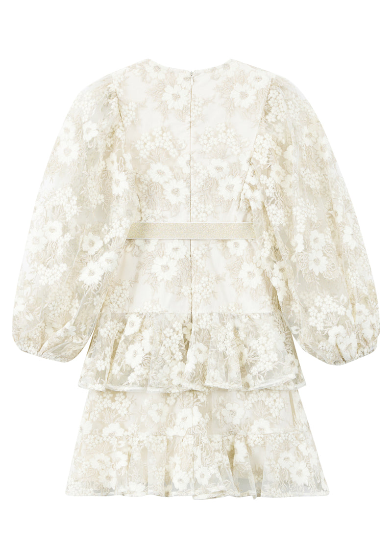 Dorothy Embroidered Mini Dress