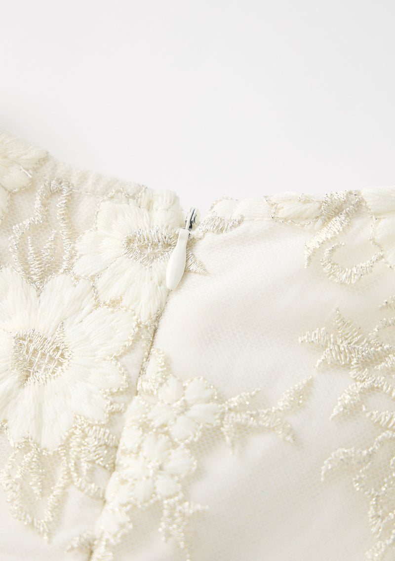 Dorothy Embroidered Mini Dress