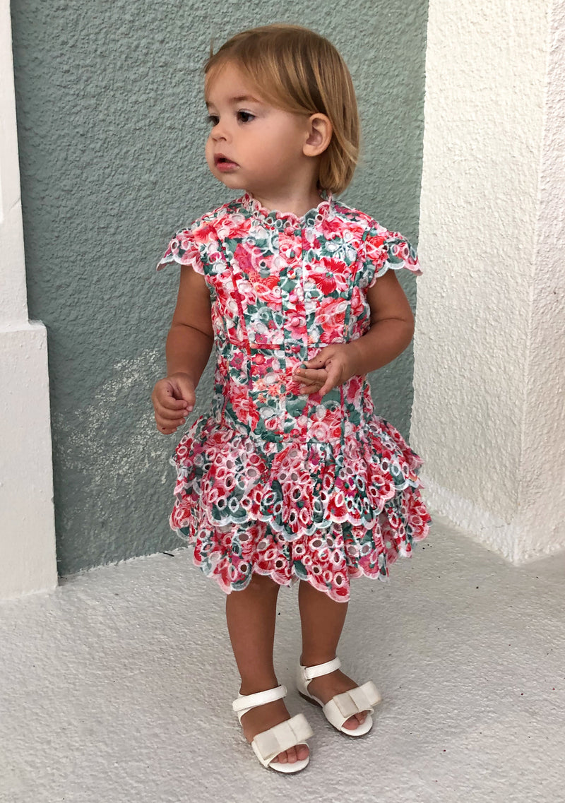 Holiday Embroidered Dress (Baby)