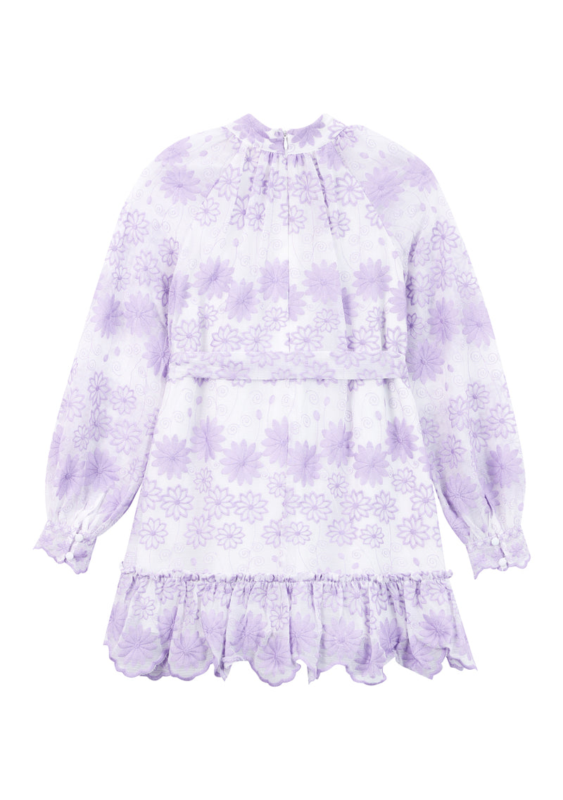 Lena Embroidered Mini Dress