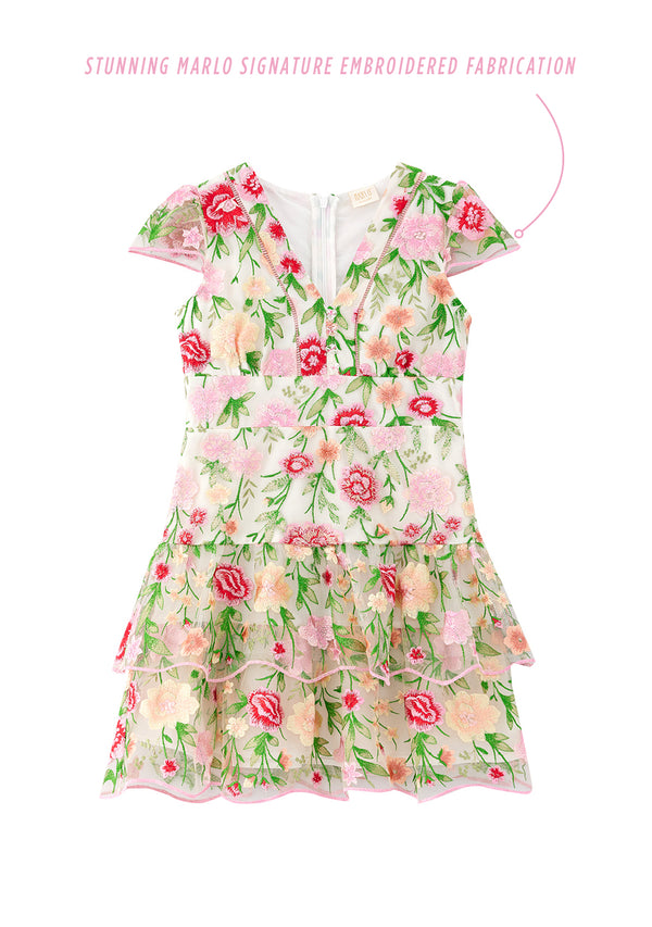 Poppy Embroidered Dress