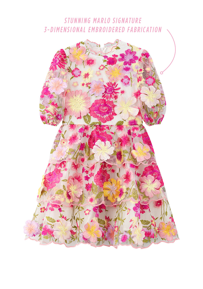 Rosie Embroidered Dress