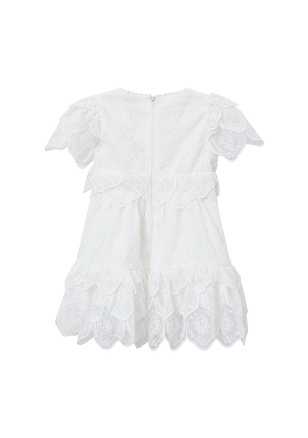 Rosette Embrodiered Dress (Baby)