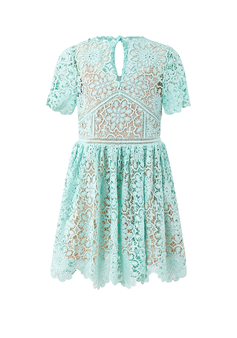 Chateau Lace Dress