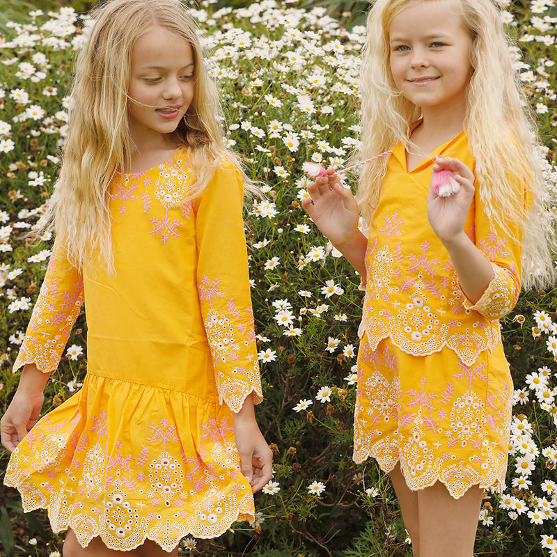 Empire Embroidered Dress