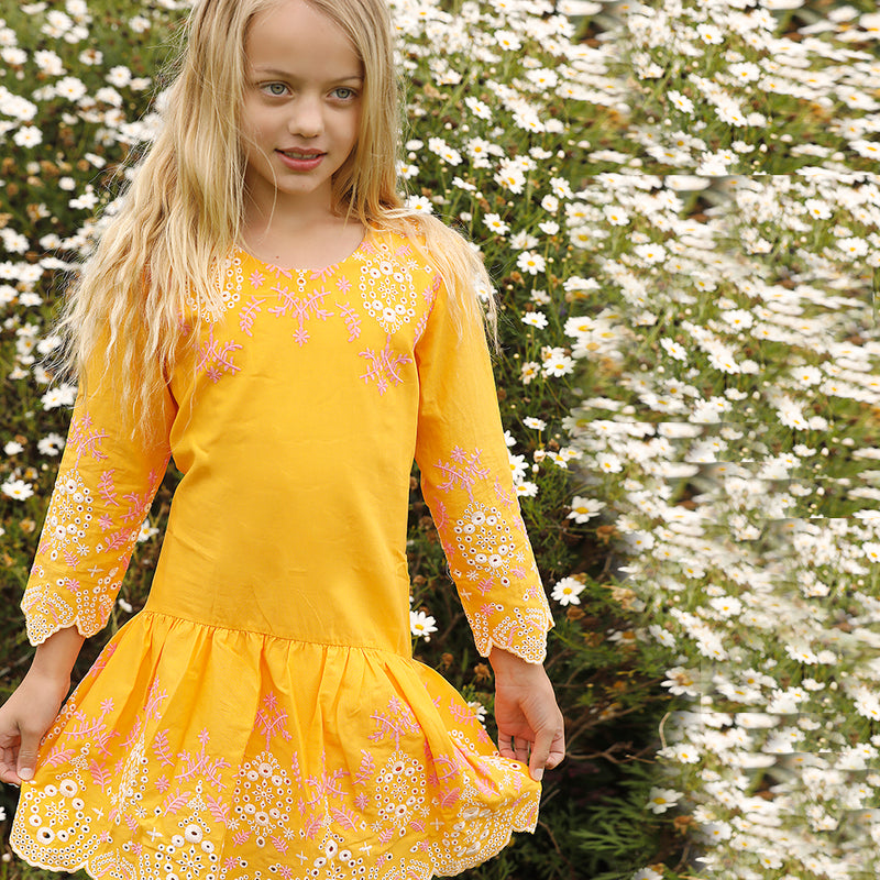 Empire Embroidered Dress