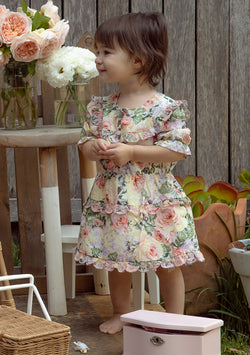 Robin Meadow Dress (Baby)
