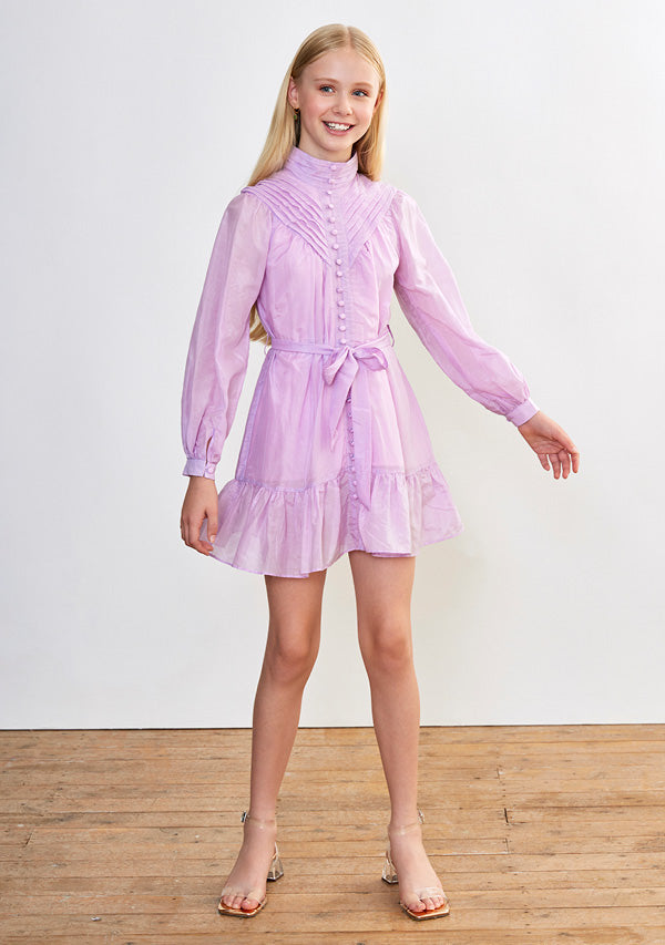 Gabrielle Silk / Cotton Dress