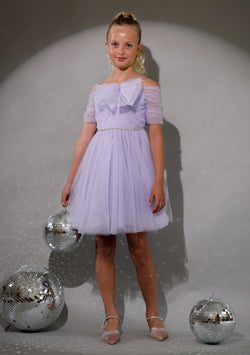 Cinderella Tulle Dress