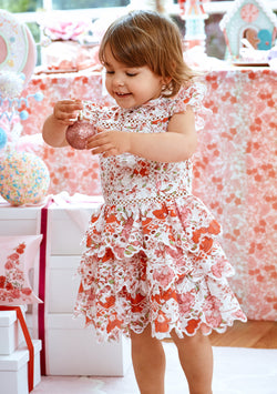 Holly Embroidered Dress (Baby)