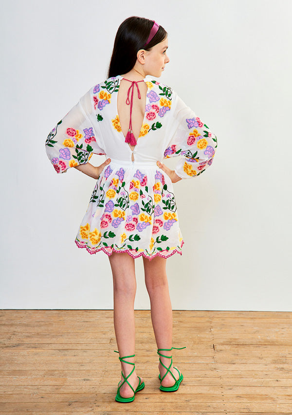 Mia Embroidered Dress