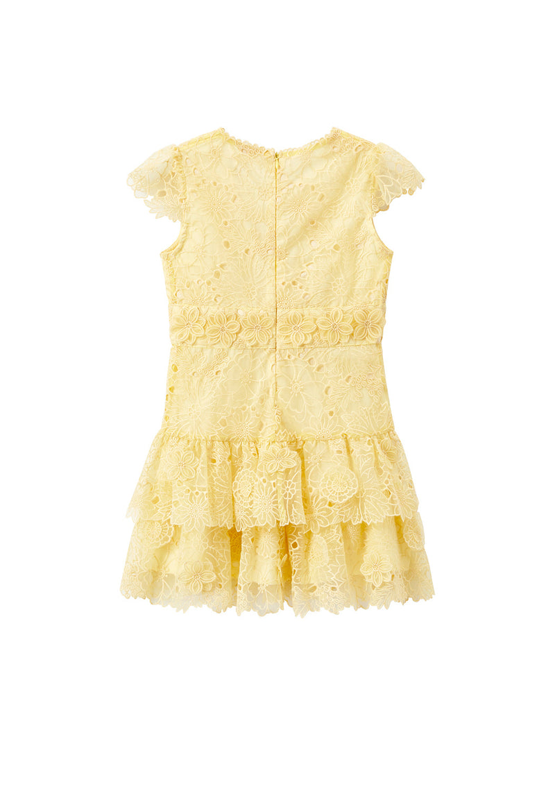 Mia Lace Dress