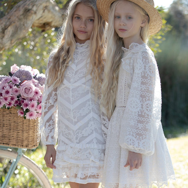 Willow Lace Dress